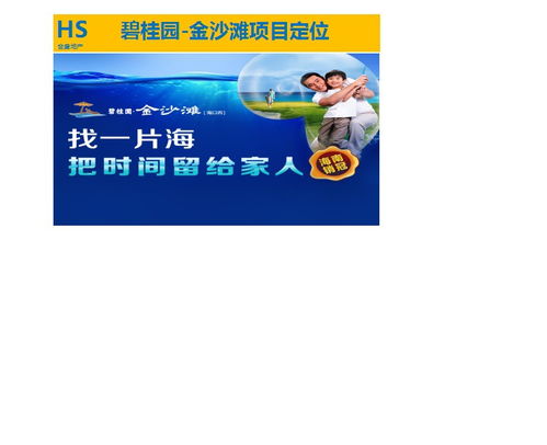 房地產(chǎn)營(yíng)銷策劃與銷售代理 專業(yè)服務(wù)助力項(xiàng)目成功